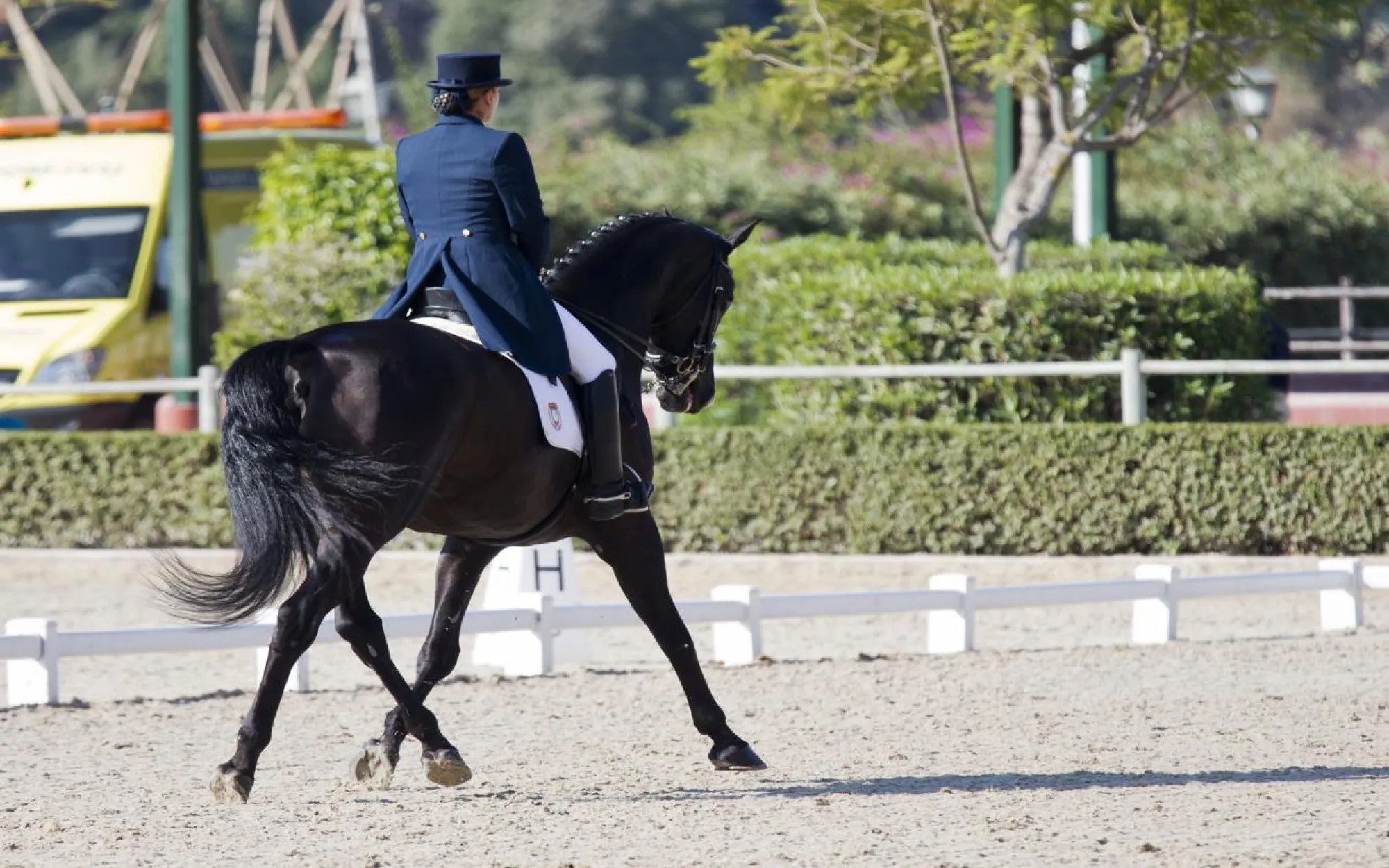 Jinete de doma clásica con caballo negro en la pista