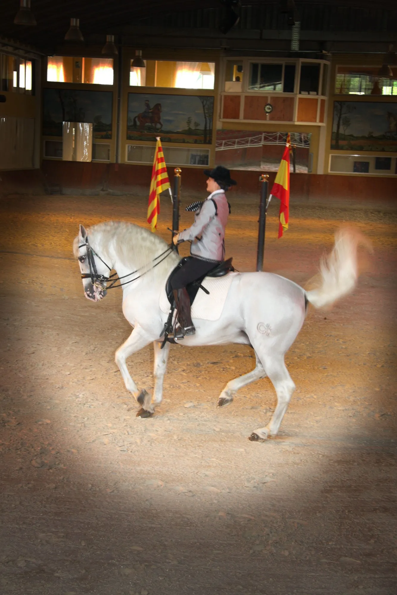 Amazona sobre caballo blanco en la pista