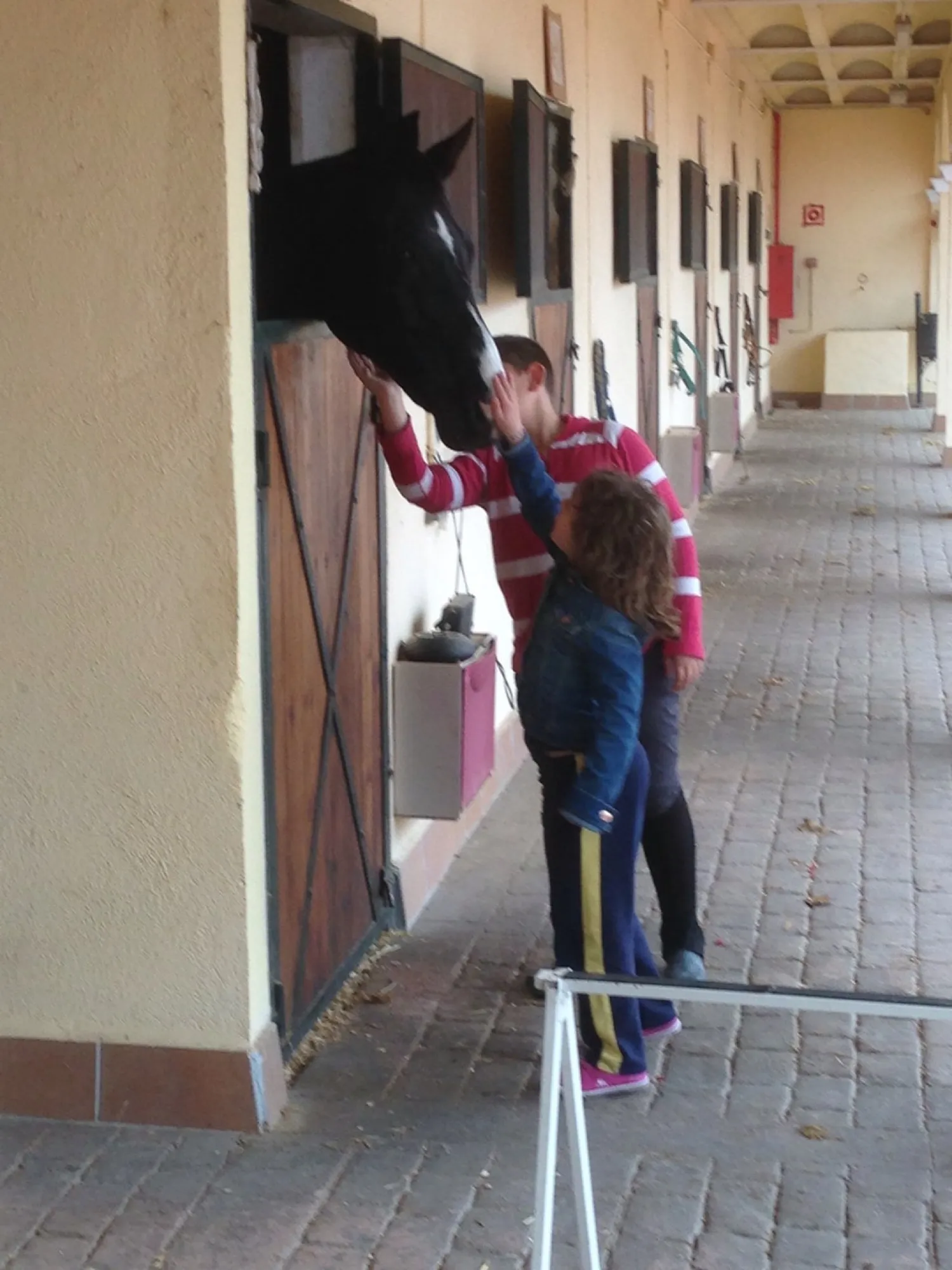 Niña acariciando a un caballo asomado a su box