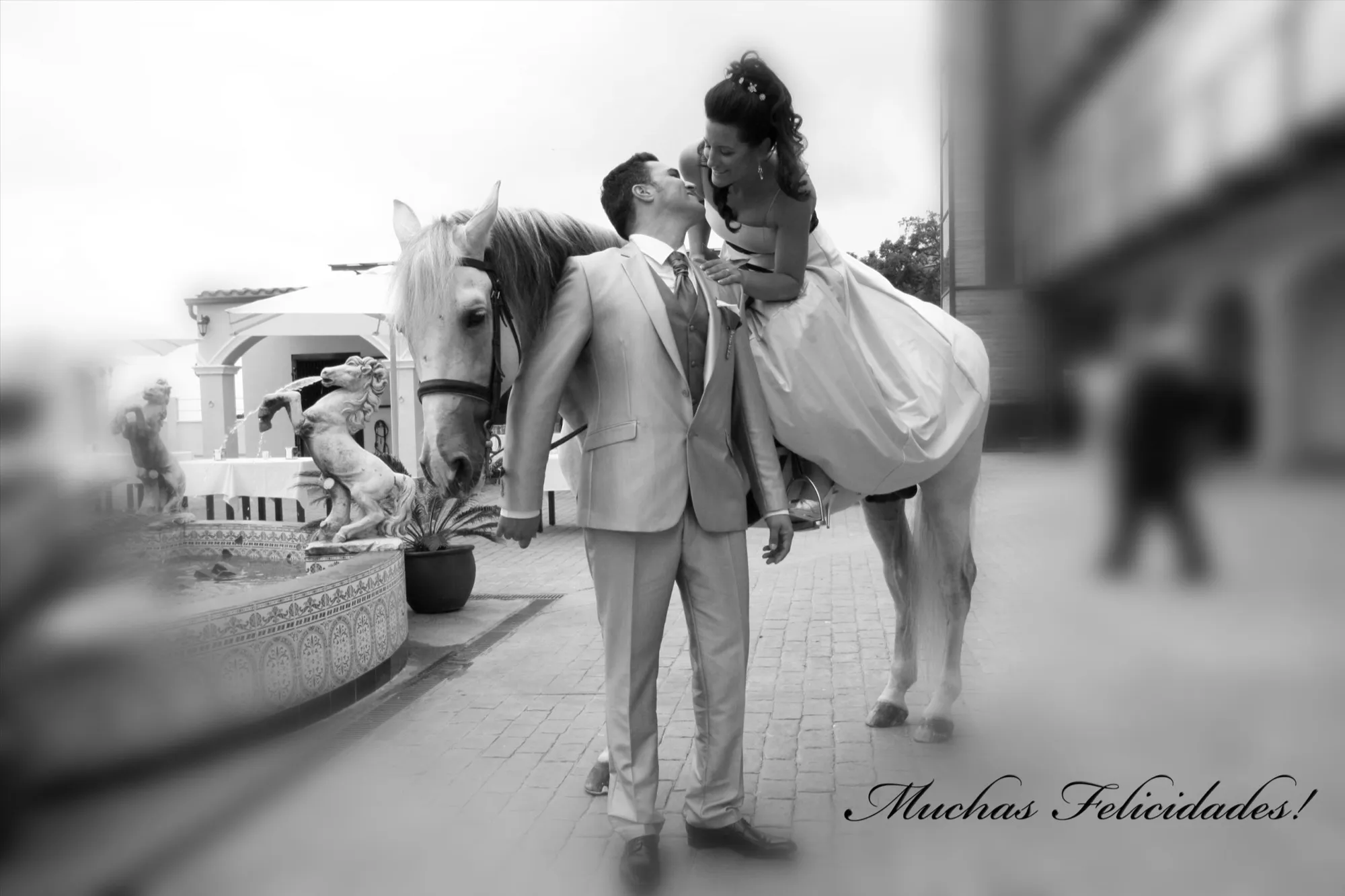 Novios posando junto a un caballo blanco en el patio
